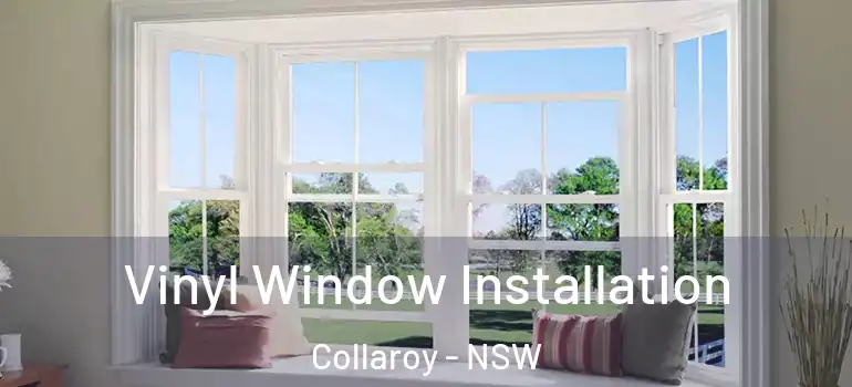 Vinyl Window Installation Collaroy - NSW