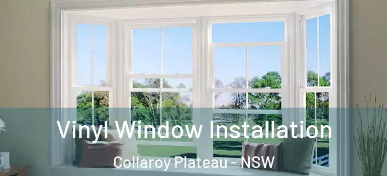 Vinyl Window Installation Collaroy Plateau - NSW