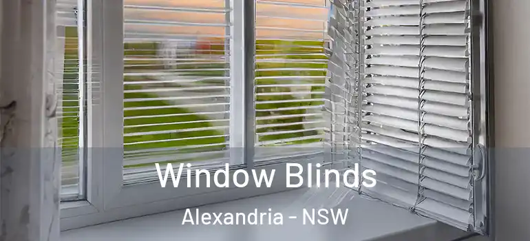  Window Blinds Alexandria - NSW