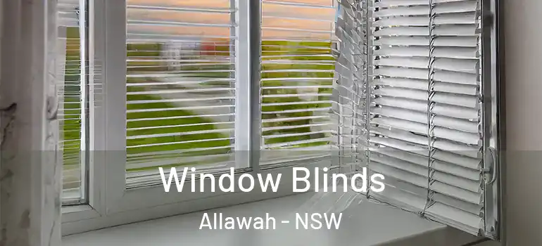 Window Blinds Allawah - NSW