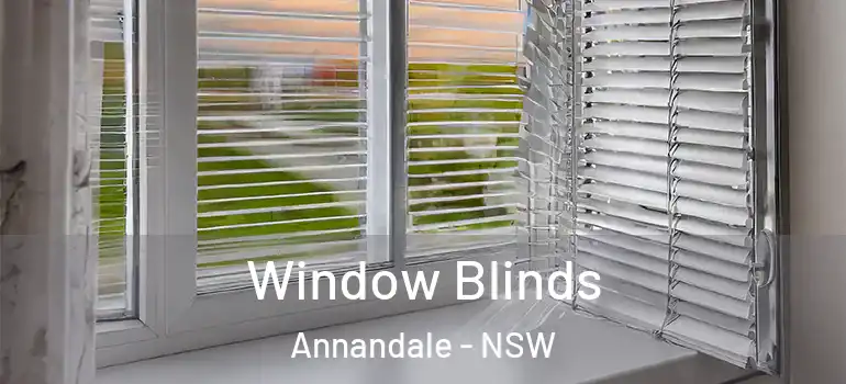  Window Blinds Annandale - NSW