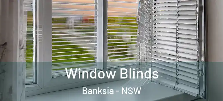  Window Blinds Banksia - NSW
