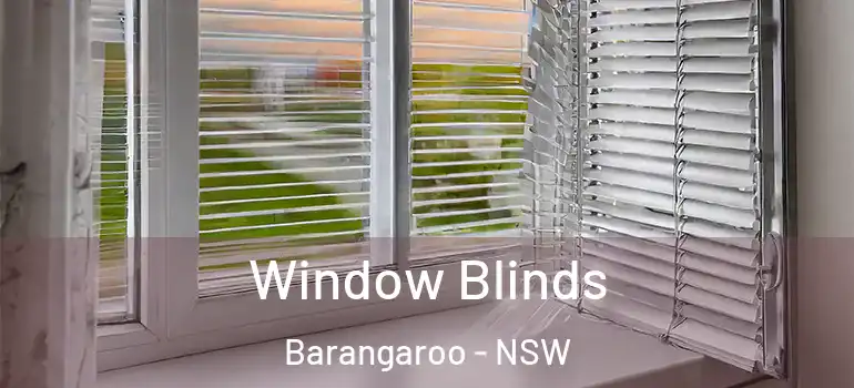 Window Blinds Barangaroo - NSW