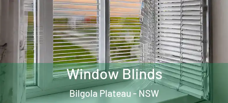  Window Blinds Bilgola Plateau - NSW