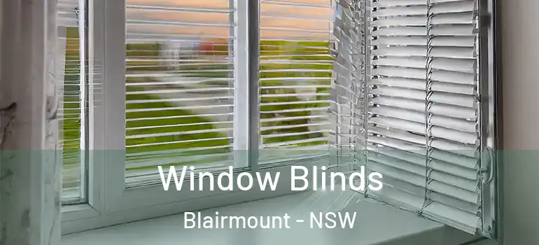 Window Blinds Blairmount - NSW