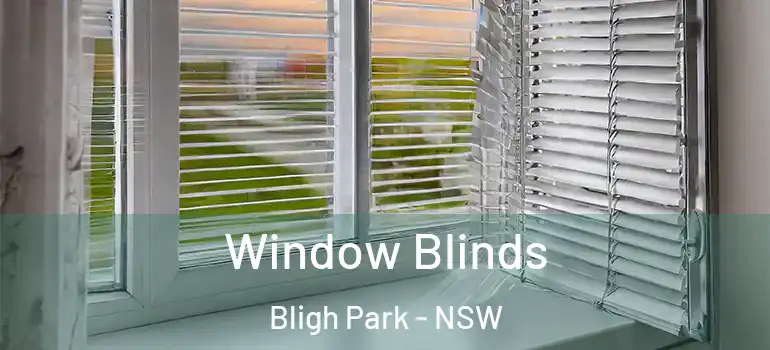  Window Blinds Bligh Park - NSW