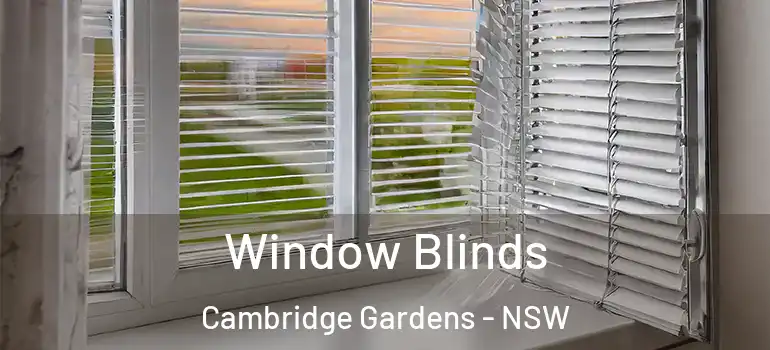 Window Blinds Cambridge Gardens - NSW