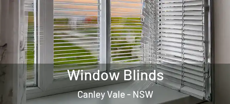 Window Blinds Canley Vale - NSW
