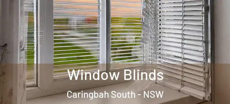 Window Blinds Caringbah South - NSW