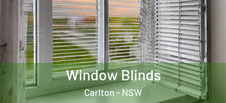 Window Blinds Carlton - NSW