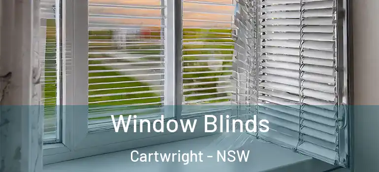  Window Blinds Cartwright - NSW