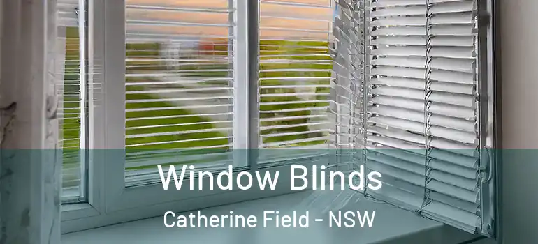 Window Blinds Catherine Field - NSW