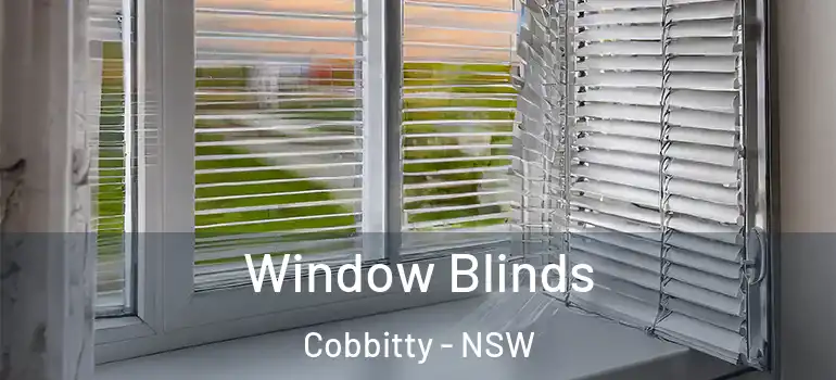 Window Blinds Cobbitty - NSW
