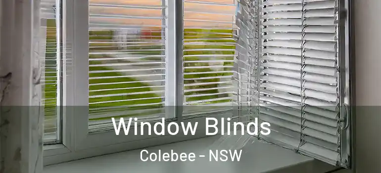 Window Blinds Colebee - NSW