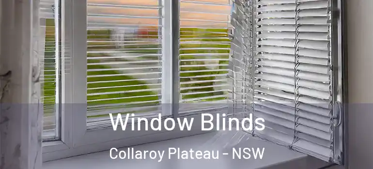  Window Blinds Collaroy Plateau - NSW