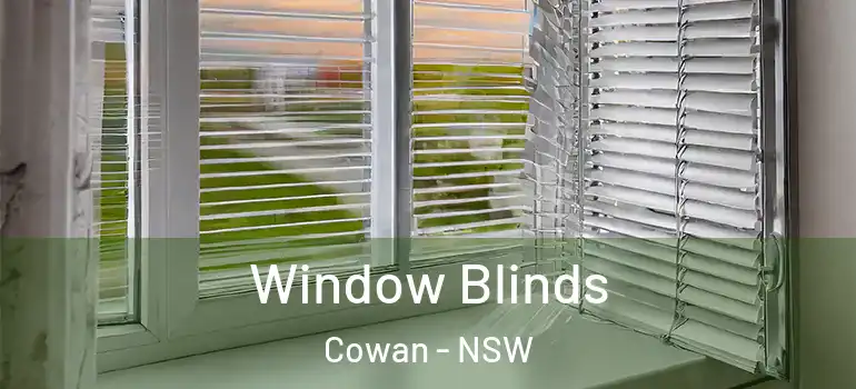 Window Blinds Cowan - NSW