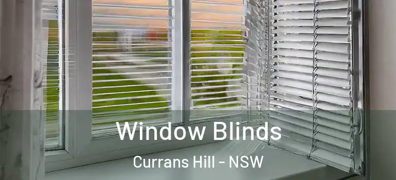 Window Blinds Currans Hill - NSW