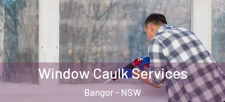 Window Caulk Services Bangor - NSW