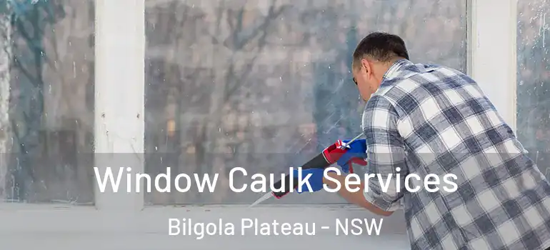 Window Caulk Services Bilgola Plateau - NSW