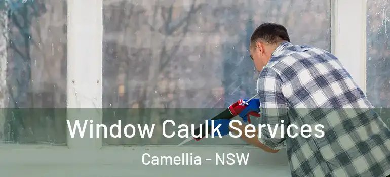Window Caulk Services Camellia - NSW