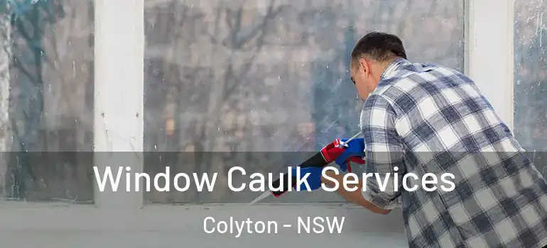 Window Caulk Services Colyton - NSW