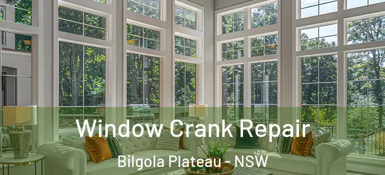 Window Crank Repair Bilgola Plateau - NSW