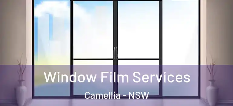 Window Film Services Camellia - NSW