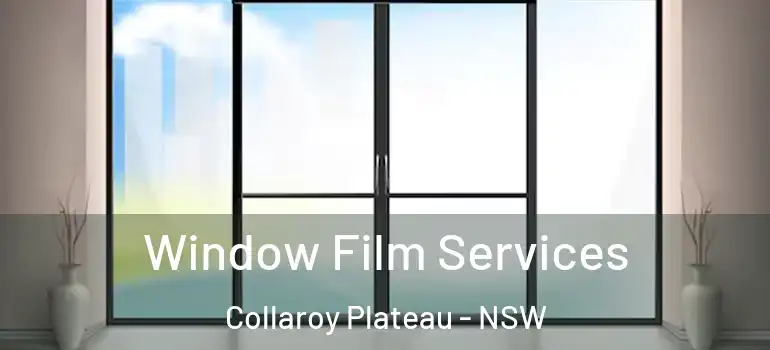 Window Film Services Collaroy Plateau - NSW