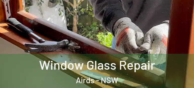 Window Glass Repair Airds - NSW