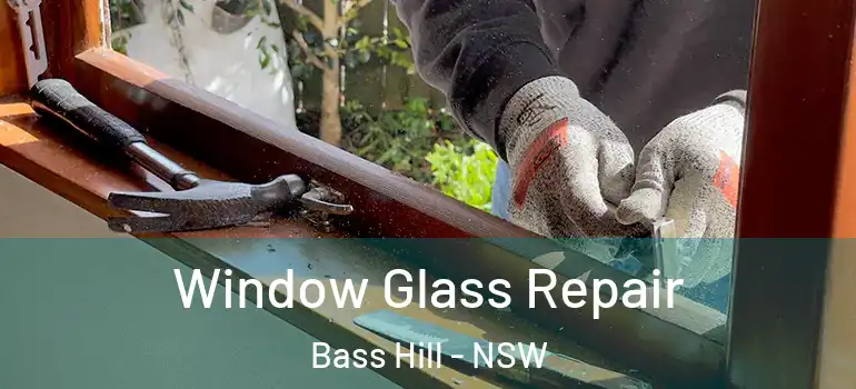 Window Glass Repair Bass Hill - NSW