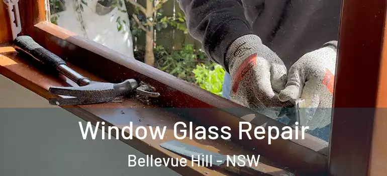  Window Glass Repair Bellevue Hill - NSW