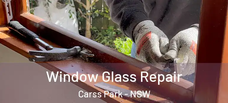  Window Glass Repair Carss Park - NSW