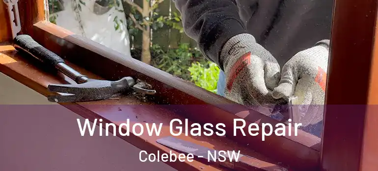 Window Glass Repair Colebee - NSW