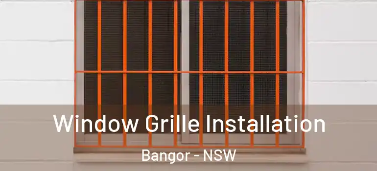  Window Grille Installation Bangor - NSW