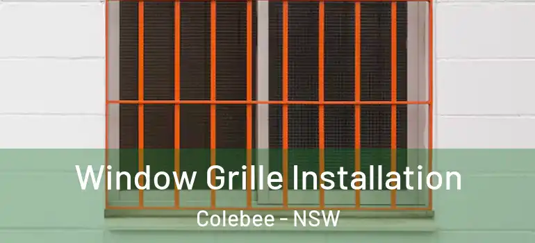  Window Grille Installation Colebee - NSW