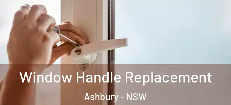  Window Handle Replacement Ashbury - NSW
