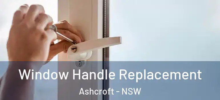  Window Handle Replacement Ashcroft - NSW