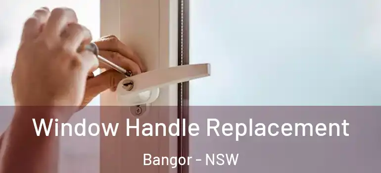 Window Handle Replacement Bangor - NSW