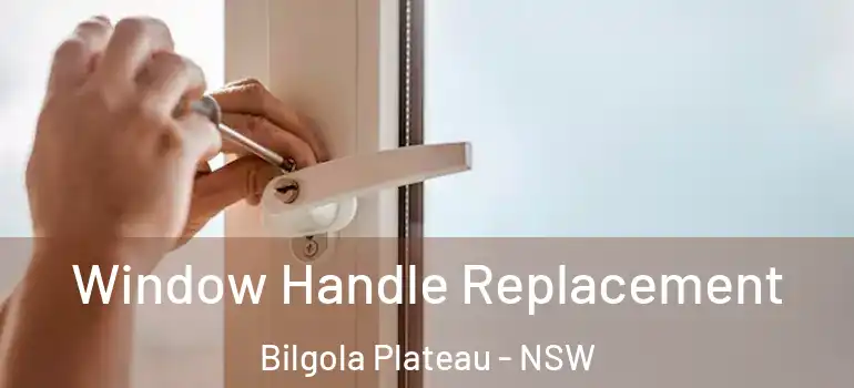 Window Handle Replacement Bilgola Plateau - NSW