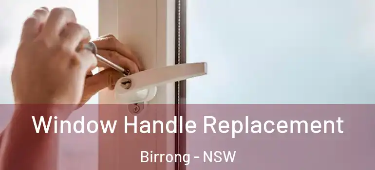  Window Handle Replacement Birrong - NSW