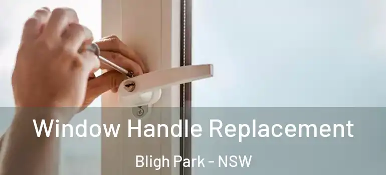 Window Handle Replacement Bligh Park - NSW