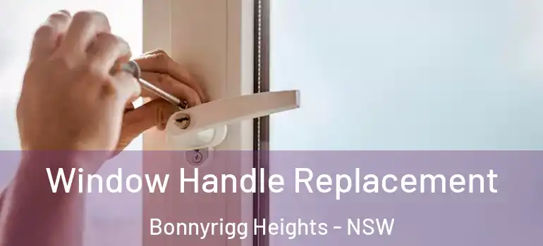 Window Handle Replacement Bonnyrigg Heights - NSW