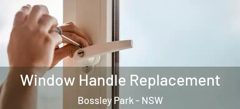  Window Handle Replacement Bossley Park - NSW