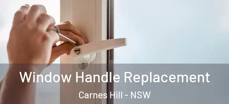  Window Handle Replacement Carnes Hill - NSW