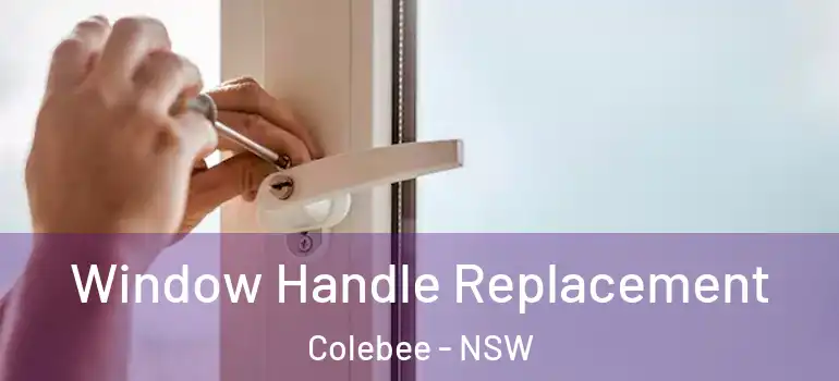 Window Handle Replacement Colebee - NSW