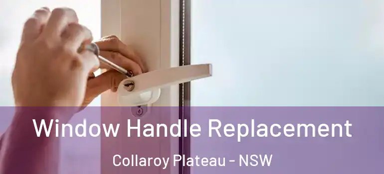 Window Handle Replacement Collaroy Plateau - NSW