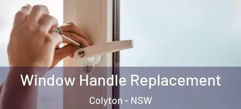 Window Handle Replacement Colyton - NSW