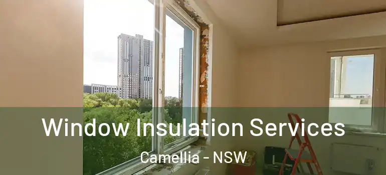  Window Insulation Services Camellia - NSW