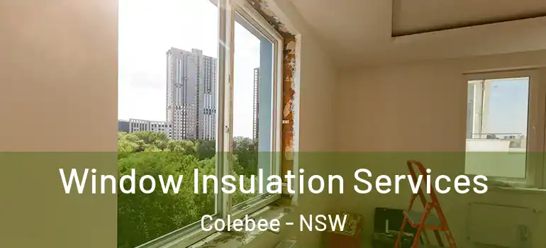 Window Insulation Services Colebee - NSW