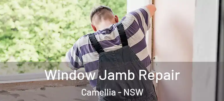Window Jamb Repair Camellia - NSW